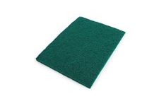 Economy Scourer Flat 150x115mm Green (Pack of 10) SP120