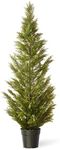 National Tree Company Artificial 60 Inch Arborvitae Fake Tree Plant - Green Indoor and Outdoor Plant Includes Pot Base