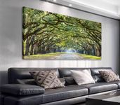 Green Forest Wall Art Landscape Canvas Pictures Large Modern Oak Trees Canvas Artwork Big Contemporary Forest Path for Living Room Bedroom Office Home Wall Decor Framed Ready to Hang 75cm x 150cm