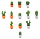 Decorative Refrigerator Magnets, Perfect Fridge Magnets for House Office Personal Use (Cactus)