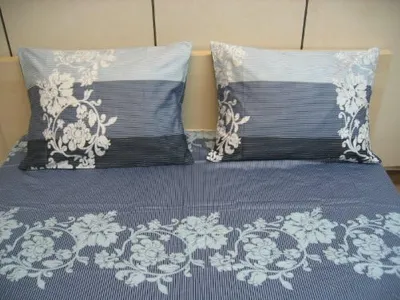 DaDa Bedding FSFST8153 3-Piece Royal Cotton Flat and Fitted Sheet Set, Twin