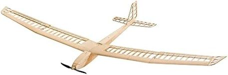 Balsa Wood Glider Plane F25 AION-25