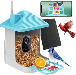 Smart Bird