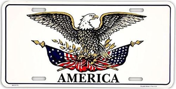 Signs 4 Fun Parody License Plate - America Eagle - 12” x 6” Decorative License Plate Wall Decor - Decoration Plate Man Cave + Garage - Made in The USA