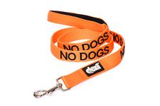 NO DOGS (Not good with other dogs) Orange Colour Coded 60cm 1.2m 1.8m Luxury Neoprene Padded Handle Dog Leads PREVENTS Accidents By Warning Others Of Your Dog In Advance (1.8m)