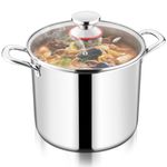 TeamFar 10QT Stock Pot, Stainless Steel Tri-ply Large Stockpot Pasta Soup Cooking Pot with Glass Lid, for Induction Gas Ceramic Electric, Nontoxic & Heavy Duty, Ergonomic Handles & Dishwasher Safe