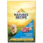 Nature′s Recipe Dry Puppy Food, Lam