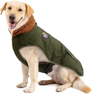 IREENUO Waterproof Dog Coat, Dog Winter Jacket for Medium Large Dogs, Warm Winter Dog Jacket Dog Cold Weather Coats with Adjustable Buckle for Fall Winter, XL