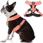 Gooby Dog Harness - Pink, Large - Comfort X Head-in Small Dog Harness, Dual Snap Rotational Buckles with Patented Choke-Free X Frame - Dog Harness for Medium Dogs No Pull and Small Dogs