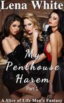 My Penthouse Harem - Part 1 (A Slice of Life Men's Fantasy)