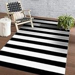 Black and White Striped Rug 4' x 6'