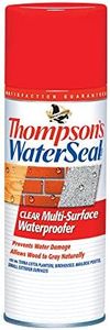 Thompson’s WaterSeal Multi-Surface Waterproofer Stain, Clear, 12 oz Aerosol Can