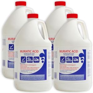 Buckman's Muriatic Acid for Swimming Pools & Spas (4-Pack) - Lower's pH/pH Reducer for Pool Water Balancing - 4 Gallon