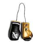 Hayabusa Mini Boxing Gloves, Men and Women Boxing Gifts - Black/Gold