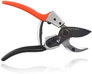 TONMA Anvil Pruning Shears [Made in Japan] Professional 8 Inch Heavy Duty Garden Scissors Secateurs with Ergonomic Handle, Hand Pruners Gardening Hand Tool Branch Clippers for Plants TP-4 Orange