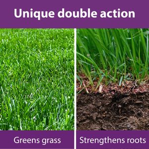 Flower Power Lawn Magic Premium Lawn Feed 5L – Double Action Formula