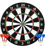 Outdoor Dart Board