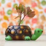 Lasaki Tortoise Big Ceramic for Indoor Plants,Planters,Flower,Outdoor,Balcony,Home,Garden,Office Decor,Succulent Pot(Hand Painted Green Neck)(L:19.5 cm,W:13.5 cm,H:7 cm)(Plants not Included)