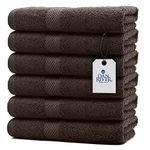 Dan River Luxury Hand Towels Set Pack of 6 (16x28) 100% Ring Spun Cotton, Ultra Soft, Lightweight, and Highly Absorbent, Perfect for Salon, Spa, Gym, Shower, Hotel, and Bathroom, 500 GSM – Brown