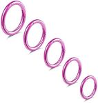 BLISI 5Pcs G23 Titanium Pink Nose Rings 16G/18G/20G Hinged Clicker Segment Nose Rings Hoop Lip Septum rings Tragus Cartilage Sleeper Earrings 6mm-10mm hypoallergenic nose rings for women men