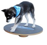 FitPAWS 20" Wobble Board for Dog Fitness and Agility