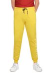 Allen Solly Junior Kids Apparel Regular Fit Trousers(ABPTERGF591596_Yellow_11 Years-12 Years) unisex-child