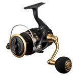 Daiwa Spinning Reel 23BG SW 6000D-H