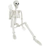 JOISHOP 1pcs Halloween Posable Skeleton, 90cm/3ft Realistic Halloween Human Skeleton Bones Full Body Movable Joints for Halloween Props Spooky Party Decoration