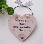 PD Only the best Mums get promoted to Nana Pink Dandelion wooden plaque