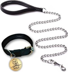 Kraftidy Dog Collar and Chain Leash with Name tag id Customized for Large Medium Dogs Small Puppies Neck Collar Belt and Chain Leash with Personalized Dog Name (Black) (Medium)