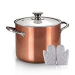 6.6 Litre Nonstick Stock Pot Soup Pasta Pot with Lid, FRUITEAM Multi Stockpot Oven Safe Cooking Pot for Stew, Sauce & Reheat Food, Induction/Oven/Gas/Stovetops Compatible for Family Meals