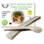 ARTISAN GIFT CO Naturally Shed 100% Natural Premium Split Deer Antler Chew for Dogs - minimum pack weight 102g (M - 2 Units)