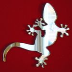 Geckoo Mirrors