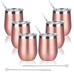 6 Pack Stainless Steel Wine Tumbler