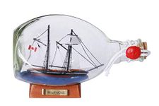 Hampton Nautical Bluenose Sailboat in a Glass Bottle, 7"