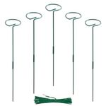 EXALT® 32 Inches (16 inch Main Stake + 16 inch Supporting Stake, DIY) Premium Plant Support Stakes, Sturdy Metal Construction for Strong and Healthy Plant Growth (Pack of 5)