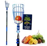 EVERSPROUT 13-Foot Fruit Picker (20+ Foot Reach) | Preassembled, Easy to Attach Twist-On Basket | Lightweight, High-Grade Aluminum Extension Pole | +Bonus Fruit Carrying Bag