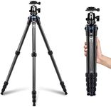 SIRUI 50″ Compact Carbon Fiber Travel Tripod with 360° B-00K Acra-Swiss Ballhead, Lightweight Camera Tripod with 5-Section Legs, Twist Locks, Loads up 13.2lbs/6kg