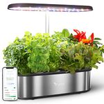 Smart Hydroponics Growing System, LetPot 12 Pods Indoor Garden, 24W Light, App&WiFi Control, Water Shortage Remind, 20" Adjustable Rod, 5.5L Tank, Herb Garden for Home Kitchen, Stainless Steel