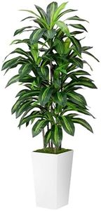 Artificial Dracaena Plant Indoor 5FT - Fake Tree with White Tall Planter - Faux Yucca Tall Fake Floor Plant in Pot - Artificial Trees for Home Office Living Room Decor Indoor