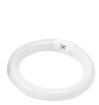 Philips 409573 Fluorescent 22W T9 8-Inch Circline Soft Light White