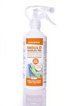 Mold Cleaner For Carpet