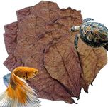 Aquarium Catappa Leaves - Almond Leaves for Betta Fish | Freshwater Shrimps and Tropical Fish Leaves for Water PH Balance and Cozy Environment, Frog Nest