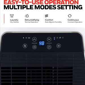 Honeywell 12L Dehumidifier – Compact Home Moisture Removal