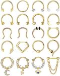 Besteel 20 Pcs Septum Rings 16G Hypoallergenic Surgical Steel Hinged Clicker Nose Rings Hoops for Women Men Cute CZ Dangle Horseshoe Lip Helix Tragus Daith Cartilage Piercing Jewelry 10MM, Stainless