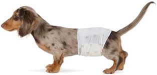 Amazon Basics Male Dog Diapers, 50 
