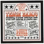 Ernie Ball P02306 Light Loop End Stainless Steel Tenor Banjo Guitar Strings - 9-28 Gauge