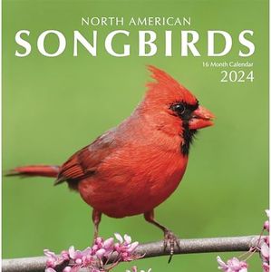 Songbirds 