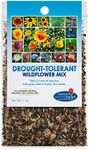 Drought Resistant Wildflower Seeds - 1oz, Open-Pollinated Bulk Flower Seed Mix for Beautiful Perennial, Annual Garden Flowers - No Fillers - 1 oz Packet