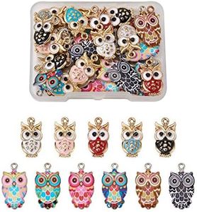 Beadthoven 33pcs 11 Styles Owl Enamel Charms Cute Bird Animal Lucky Dangle Pendants for Jewelry Crafts Making Earrings Bracelets Necklace